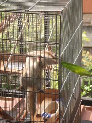 ���������ȁ`