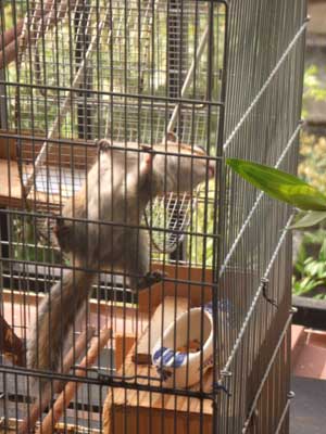 �i�����H