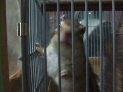 ����I�@�������傠��H