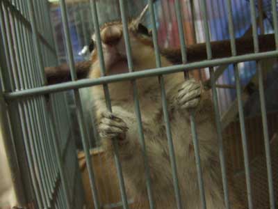 �x���Ȃ�܂���