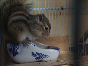 �|���|���@�|���|��