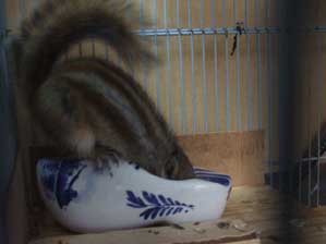 ��`��@�܂����ɂ���`�`