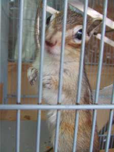 �Y��ɎB���Ăˁ`