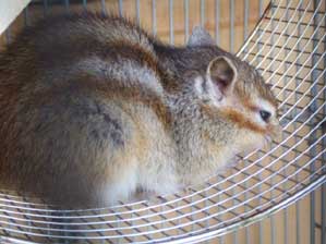 �E�`�@���Ė����`�`