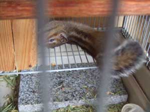 ���`��@�C���������`