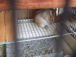 �Ȃ�ƂȂ��@�����Ƃ���D���Ȃ񂾂���B�B�B